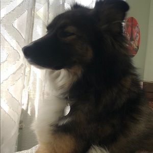 Meet your Posher, Thea